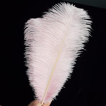 Happy Feather 16-18 inch Pink Ostrich Feathers Craft for Wedding Party Centerpieces Home Decoration DIY Craft Pack of 10