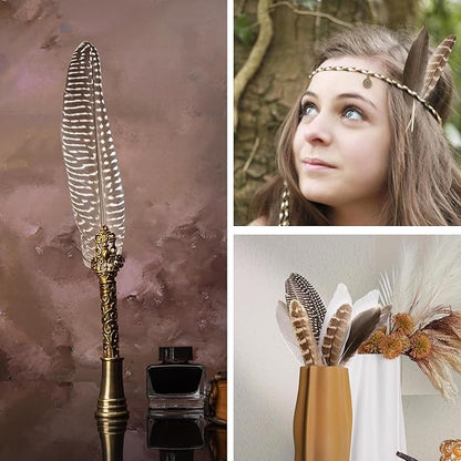 MAOFENG 20pcs Natural Pheasant Feathers Bulk 5 Styles Mixed Feathers Spotted Feathers for Craft DIY Wedding Home Hat Floral Arrangements Holiday Decorations