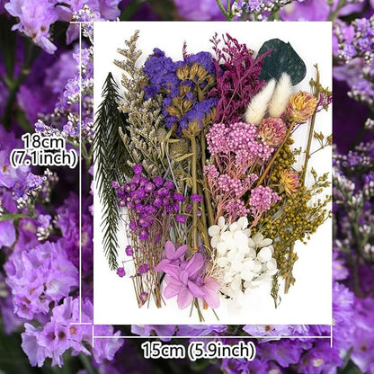 Vignee Real Dried Pressed Leaf Flowers-Multiple Colorful Pressed Flowers Daisies for Craft Resin Jewelry Making Art Craft DIY（Violet）