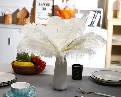 Ballinger Beige Ostrich Feathers Bulk - 24pcs 12-14inch Cream Feathers for Vase,Wedding Party Centerpieces and Home Decor