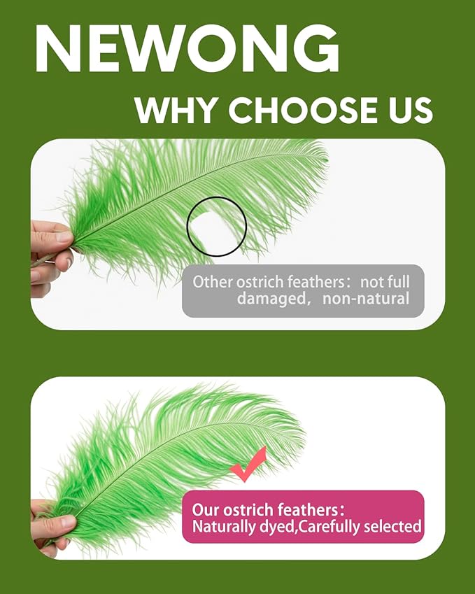 NEWONG 30pcs Fruit Green Ostrich Feathers Natural Bulk 8-10inch(20-25cm) Vase Craft Wedding Home Party Centerpieces Christmas Day Decoration