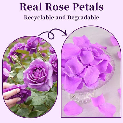 180 PCS Real Purple Rose Petals for Wedding, 1.76oz Dried Flower Petal for Flower Girl to Throw, Romantic Night Shower Party Proposal Centerpiece Table Decor