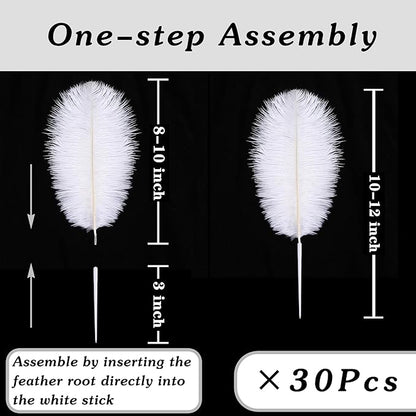 SOGUGOM Light Salmon Ostrich Feathers - 30PCS 8-10 inch Ostrich Feathers Kit for Centerpieces, Kindergarten Crafts, Dream Catchers and DIY Projects(Light Salmon)