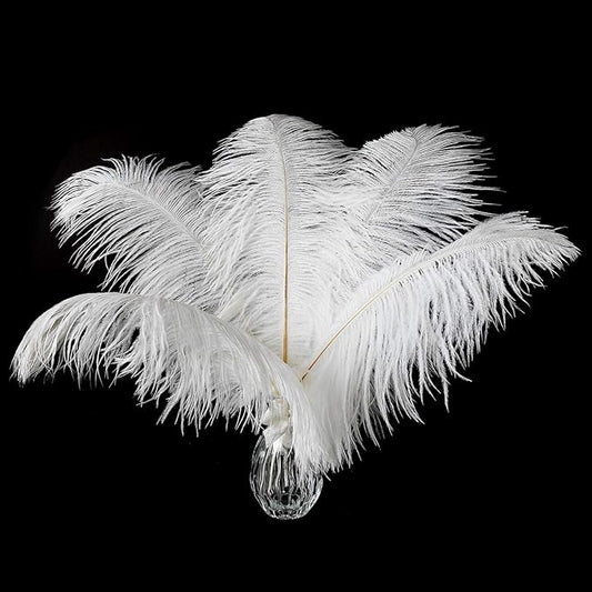 Ballinger Large White Ostrich Feathers - 24Pcs 12-14inch Large Feathers for Vase,Party Centerpieces,Wedding and Home Decor