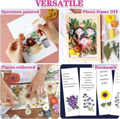 Vignee Real Dried Pressed Leaf Flowers-Multiple Colorful Pressed Flowers Daisies for Craft Resin Jewelry Making Art Craft DIY（Violet+Green）