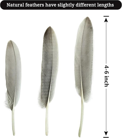 FeelfunFeather 120pcs Natural Gray Goose Cochettes Feathers Bulk 4-6 inches 10-15cm for Wedding Party Christmas Halloween Decorations DIY Crafts