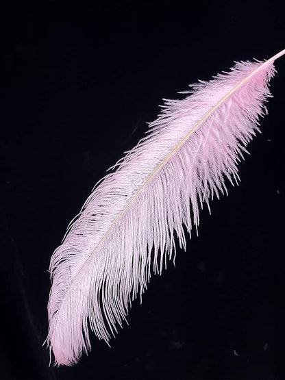 Happy Feather 16-18 inch Pink Ostrich Feathers Craft for Wedding Party Centerpieces Home Decoration DIY Craft Pack of 10