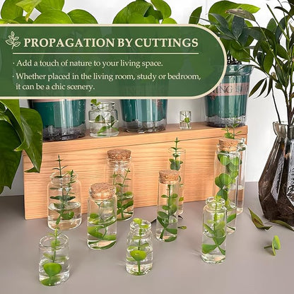 JIUYUE 40 pcs 50 ml Small Glass Cork Bottles,Cork Decoration(1.69 oz-1.45x2.75 inch)