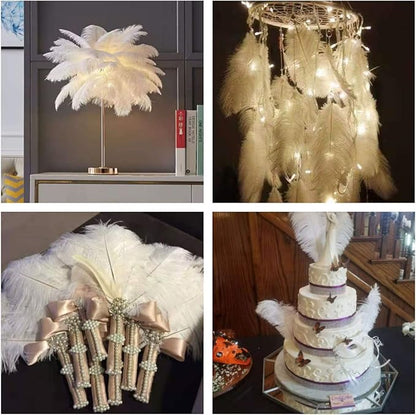 12pcs Natural White Ostrich Feathers 12-14inch (30-35cm) for Wedding Party Centerpieces，Flower Arrangement and Home Decoration.