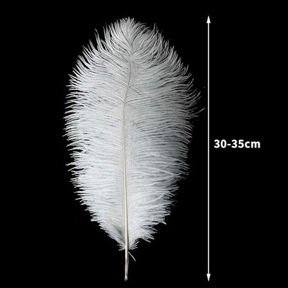 12pcs Natural White Ostrich Feathers 12-14inch (30-35cm) for Wedding Party Centerpieces，Flower Arrangement and Home Decoration.