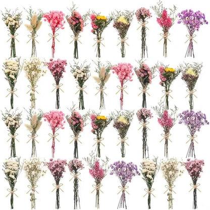 10/12/24/36 Pack Mini Dried Flowers for Vase Wedding Various Mini Bouquet Dried Small Wildflowers Natural Flowers Bulk for Crafts DIY Decor (36, Multicolor)