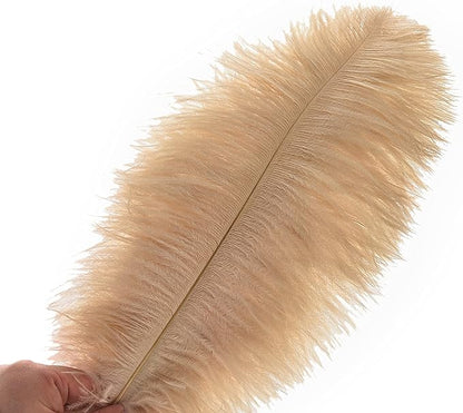 Ballinger Champagne Ostrich Feathers Bulk - 24pcs 10-12inch Boho Feathers for vase and Home Decor Wedding Party Centerpieces