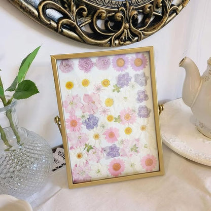 Real Dried Pressed Flowers Leaf Plant Herbarium for Crafts Resin Jewelry Making, Floral Cake Decorations-Light Pink