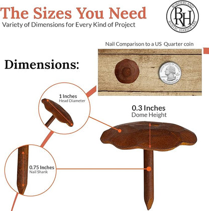 10 Pack 1" Small Round Head Iron Clavos Decorative Nails – Rusted – Handmade Rustic Round Fasteners for Farmhouse Shutter, Faux Wood Beams, Barn Door, Shutters, and Gates – Ornamental Wood Accent