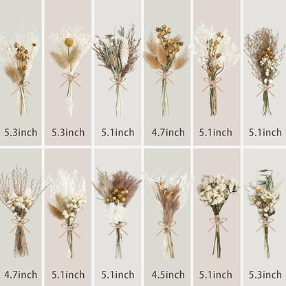 12/24 Pack Dried Flowers for Vase Various Mini Bouquet Dried Small Wildflowers Natural Real Flowers Bulk for Crafts DIY Wedding Decor (12, Plain Colour)