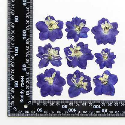 48 Pcs Dried Pressed Flowers for Resin DIY Art Crafts Natural Dry Sakura Larkspur Floral Epoxy Jewelry Real Flower Decor Cakes Phone Cases Candles Handmade Soap