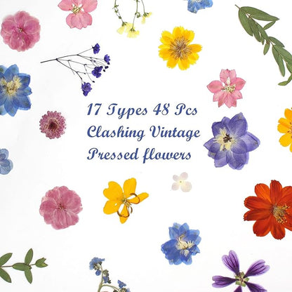 17 Types Retro Dried Pressed Flowers Leaf Plant Herbarium for DIY Resin Jewelry Making Floral Decors(Muti Color)