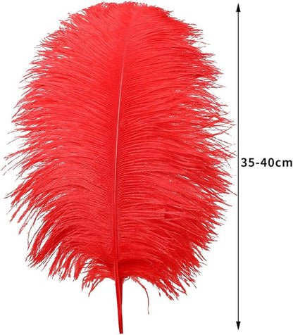 Ballinger Red Large Ostrich Feathers - 12Pcs 14-16inch Large Feathers for Vase,Wedding Party Centerpieces and Home Decor