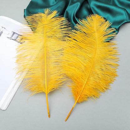 12pcs Natural Luxury Gold Ostrich Feathers 12-14inch (30-35cm) for Wedding Party Centerpieces，Flower Arrangement and Home Decoration.