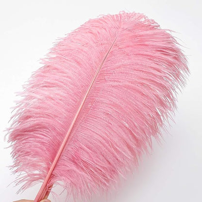 12pcs Natural Lotus Pink Ostrich Feathers 12-14inch (30-35cm) for Wedding Party Centerpieces，Flower Arrangement and Home Decoration.