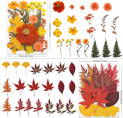 80P Autumn Tone Dried Flowers for Crafts - Real Natural Pressed Flowers in Warm Fall Hues for Resin, DIY Art, Jewelry, Thanksgiving Decor & Pumpkin Decoration – Tweezers Included