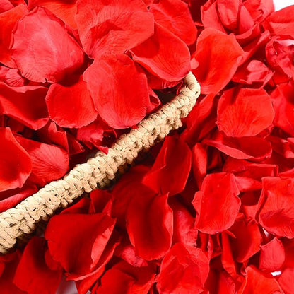 230 PCS Red Dired Rose Petals 2.1oz/60g Natural Real Rose Flower Petals for Wedding Aisle, Flower Girl Basket, Will You Marry Me, Valentines Day, Romantic Night, Proposal, Anniversary, Special Night