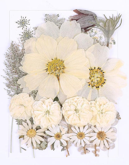 48PCS White Large Real Dried Pressed Flowers Leaves Natural Plant Herbarium for DIY Resin Mold Jewelry Making Craft (12 Styles)