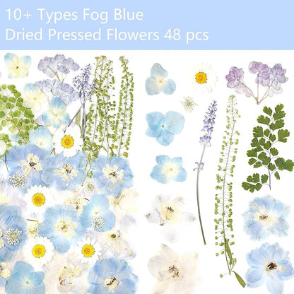 Real Dried Pressed Flowers Leaf Plant Herbarium for Crafts Resin Jewelry Making, Floral Cake Decorations-Fog Blue