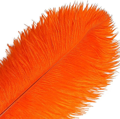 THARAHT Orange Ostrich Feathers 12pcs Large Natural Bulk 14-16Inch 35cm-40cm for Wedding Party Centerpieces Halloween and Home Decoration Feathers