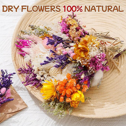 10/12/24 Pack Dried Flowers for Vase Various Mini Bouquet Dried Small Wildflowers Natural Real Flowers Bulk for Crafts DIY Wedding Decor (12, Flowers Blooming1)