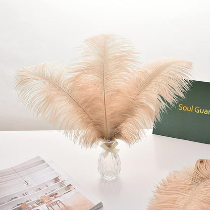 Ballinger Large Champagne Ostrich Feathers - 24pcs 12-14inch Boho Feathers for Vase and Home Decor Wedding Party Centerpieces