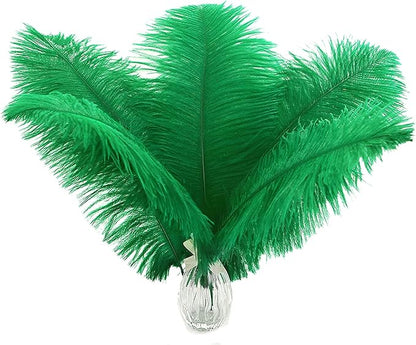 Ballinger Large Green Ostrich Feathers - 24pcs 12-14inch Long Feathers for Vase, Wedding Party Centerpieces Mardi Gras Decorations and Home Decor…