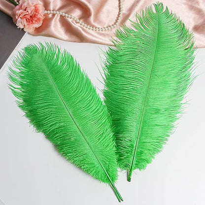 THARAHT Green Ostrich Feathers 12pcs Large Natural Bulk 12-14Inch 30cm-35cm for Wedding Party Centerpieces Mardi Gras and Home Decoration Feathers