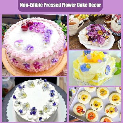 64 Pcs Dried Pressed Viola Flowers, 8 Color Gradient Purple Blue Yellow White, for Resin DIY Art Jewelry Candle & Soap Making with Tweezers Included