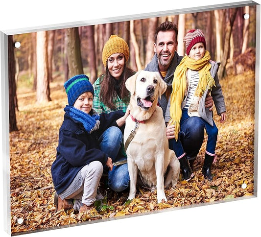 6x8 Acrylic Picture Frame 1 Pack, Clear Freestanding Double Sided Frameless Magnetic Photo Frames, Desktop Display Decor Gift