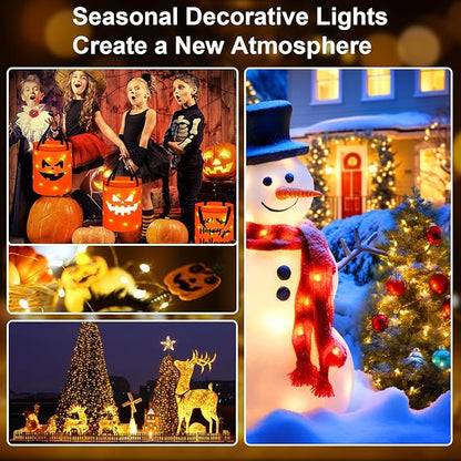 2 Pack 16Ft 50 LED Fairy Lights Mini String Lights Waterproof for Mason Jars Halloween Christmas Parties Wedding Table Centerpieces Decoration