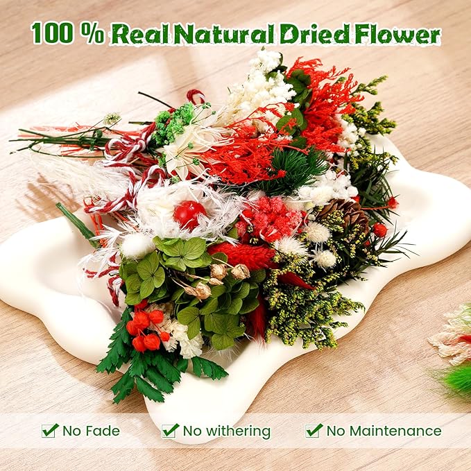 10/12/24/36 Pack Mini Dried Flowers for Vase Wedding Various Mini Bouquet Dried Small Wildflowers Natural Flowers Bulk for Crafts DIY Decor (12, Christmas Color)
