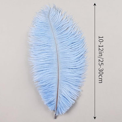 THARAHT Light Purple Ostrich Feathers 12pcs Natural Bulk 10-12Inch 25cm-30cm for Crafts Wedding Party Centerpieces Easter Gatsbi and Home Decoration Feathers
