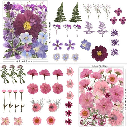 100 Pcs Dried Pressed Flowers for Crafts, Preserved & Dehydrated in Pink/Purple/Blue for Resin Art, Jewelry, Candle/Soap Making - Tweezers Included