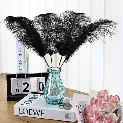Bulk Black Ostrich Feathers - 12Pcs 12-14inch Crafting Supplies for Centerpiece Table Decorations (Black)