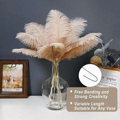 Holmgren Champagne Large Ostrich Feathers - 20pcs Making Kit 22 Inch Boho Feather Decor for Vase, Floral Arrangement, Wedding Party Centerpieces Home Decorations（Champagne）
