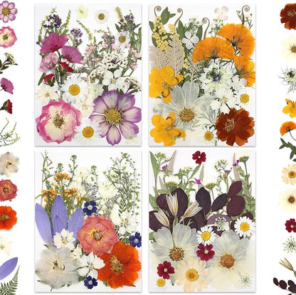 120P 4-Color Mixed Foliage Dried Flowers for Crafts, Real Natural Pressed Flowers for Resin Art, DIY Crafts, Jewelry & Candle Making – Tweezers Included