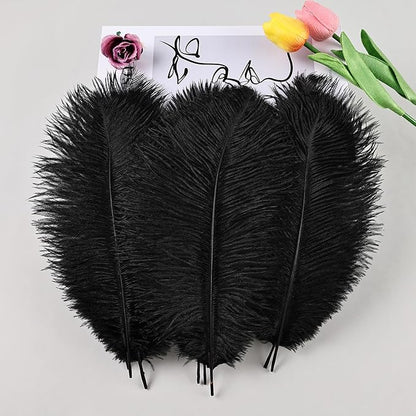 THARAHT Black Ostrich Feathers 12pcs Natural Bulk 10-12Inch 25cm-30cm for Crafts Wedding Party Centerpieces Halloween and Home Decoration Feathers