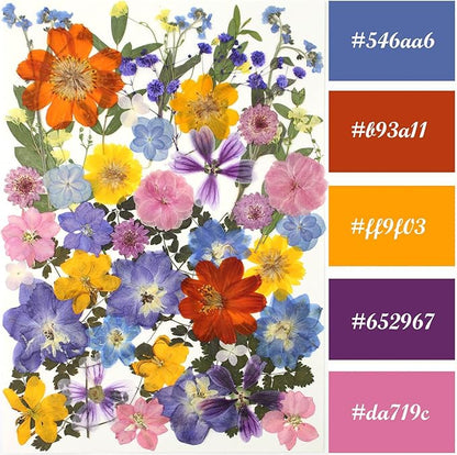 17 Types Retro Dried Pressed Flowers Leaf Plant Herbarium for DIY Resin Jewelry Making Floral Decors(Muti Color)