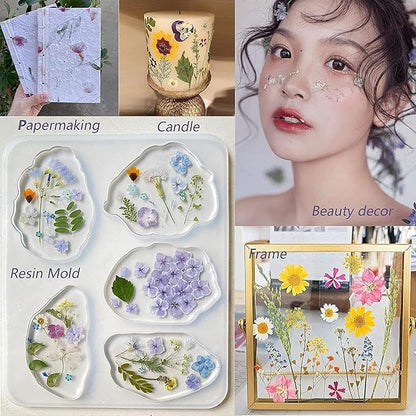 13Types 48Pcs Real Dried Pressed Flowers Leaf Plant Herbarium for Crafts Resin Jewelry Making, Baby in Bloom Baby Shower Floral Cake Decorations - Wildflowers