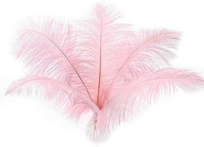 24pcs Natural Light Pink Ostrich Feathers 10-12inch (25-30cm) for Wedding Party Centerpieces，Flower Arrangement and Home Decoration.
