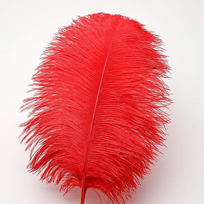 12pcs Natural Bright Red Ostrich Feathers 12-14inch (30-35cm) for Wedding Party Centerpieces，Flower Arrangement and Home Decoration.