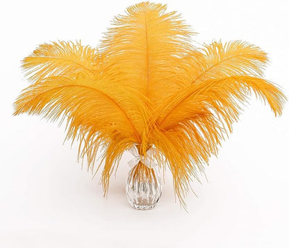 12pcs Natural Luxury Gold Ostrich Feathers 12-14inch (30-35cm) for Wedding Party Centerpieces，Flower Arrangement and Home Decoration.