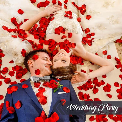 3.5 Oz Dried Rose Petals Wedding Biodegradable Petals, Natural Preservation Real Flower Petals, Suitable for Flower Petals for Flower Girl, Romantic Night, Table Decoration (Red, 100g)