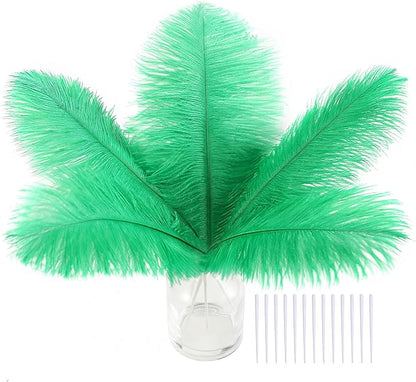 SOGUGOM Green Craft Ostrich Feathers - 30PCS 6-8 inch Mini Ostrich Feathers Kit for Kindergarten Crafts, Hats and Mardi Gras(Green)